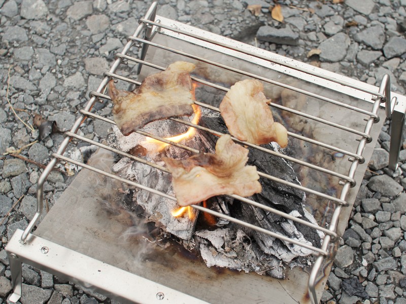 Dodの携帯性に脱帽 この収納ケースの中には 結構立派なグリル台が入っているのさ マイ定番スタイル Roomie ルーミー Dodの携帯性に脱帽 この収納ケースの中には 結構立派なグリル台が入っているのさ マイ定番スタイル Roomie ルーミー