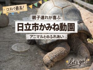 日立市かみね動物園の紹介記事アイキャッチ画像