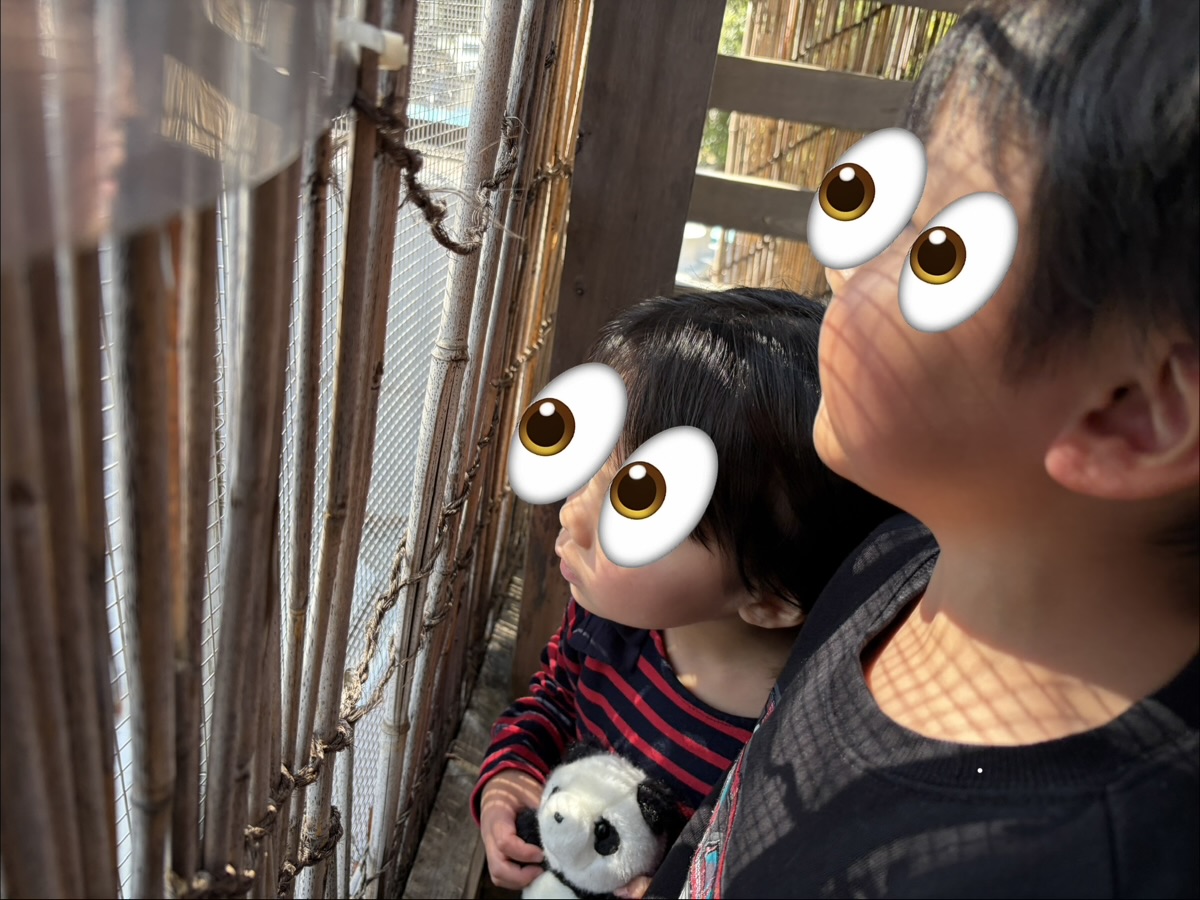 日立市かみね動物園のウミウを観る子どもたち