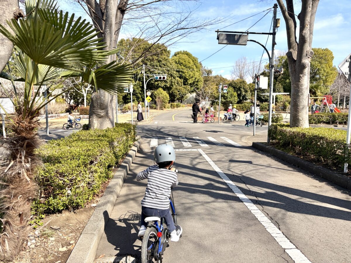 さくら交通公園で信号機を確認しながら自転車練習する様子