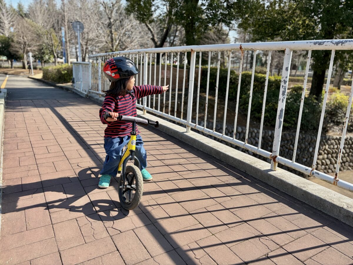 さくら交通公園の橋の上