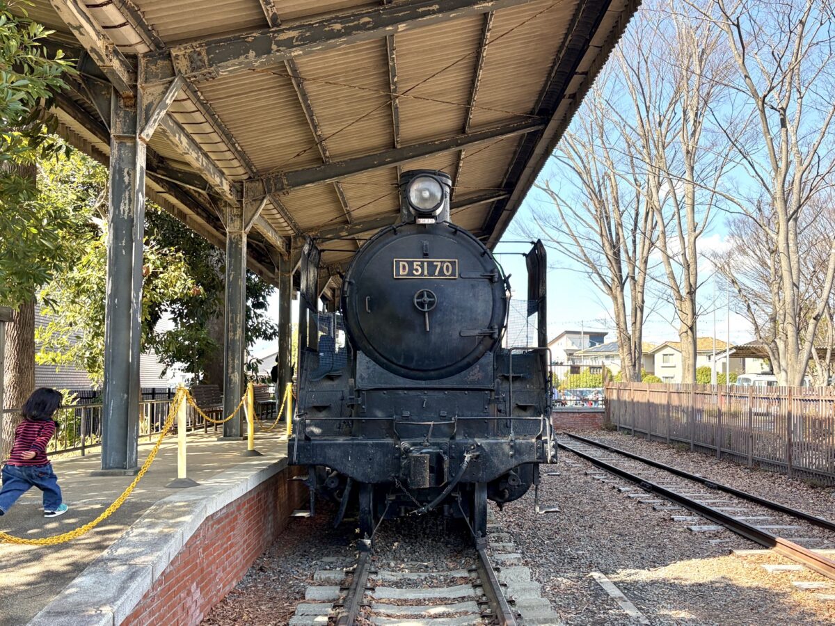 さくら交通公園に展示されているD51蒸気機関車