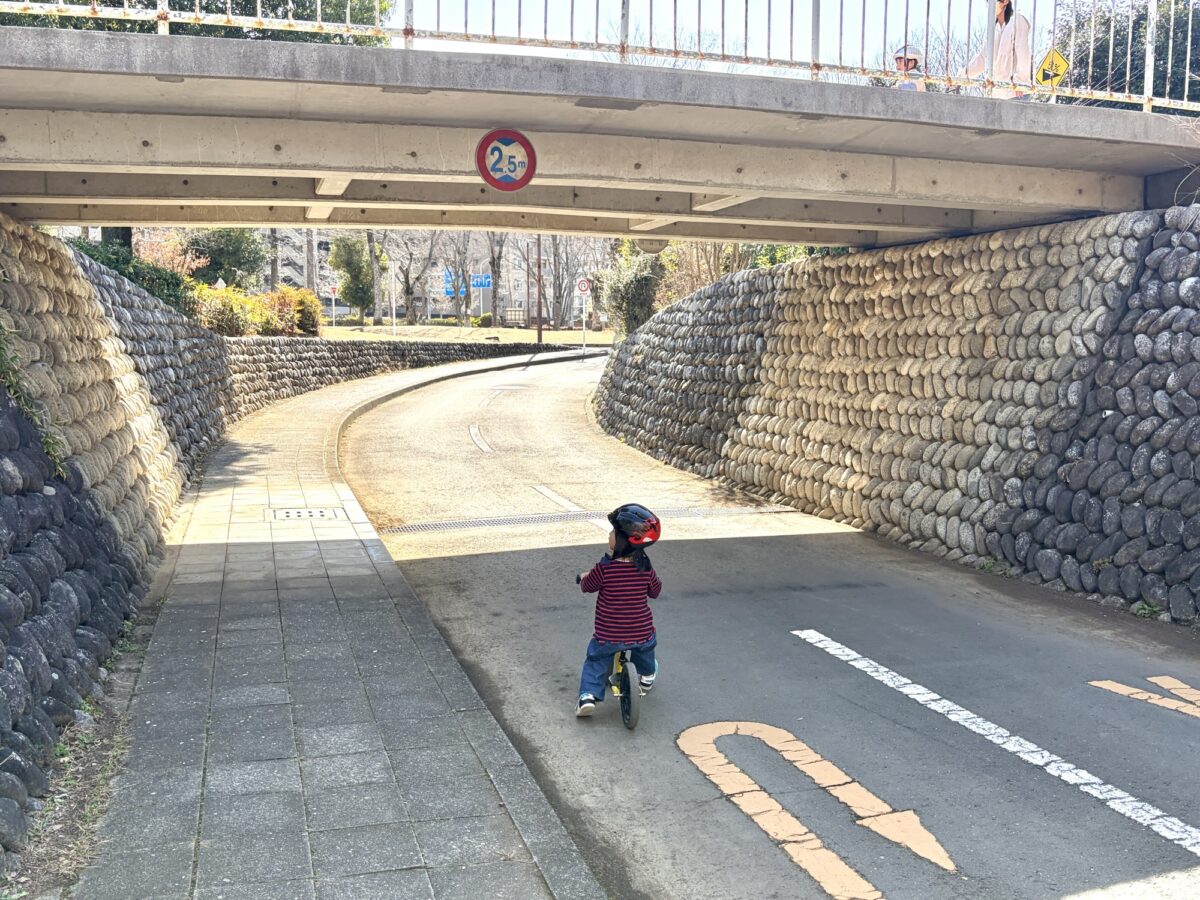 さくら交通公園の自転車コース