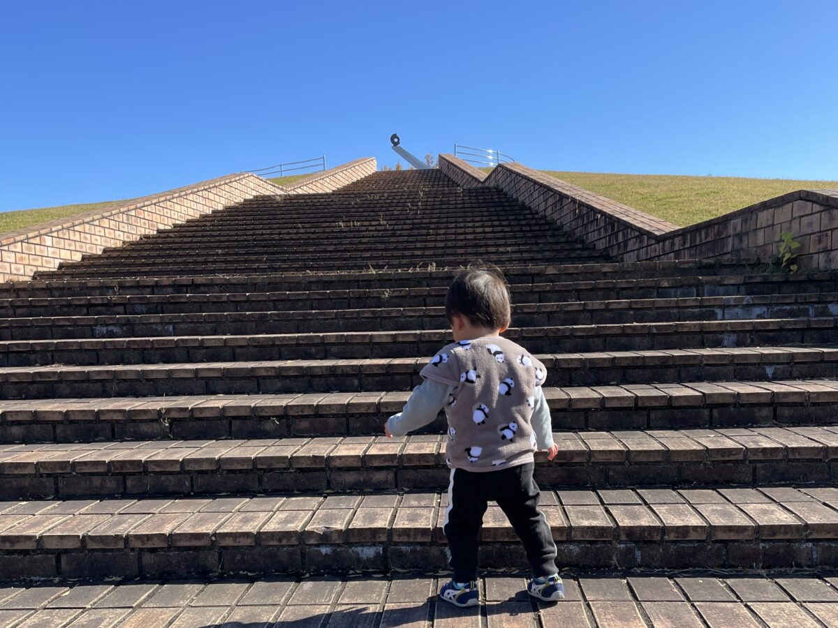 頂上に向かって歩いていく